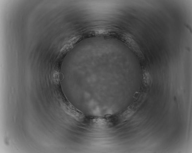 X0000102360419200808081134