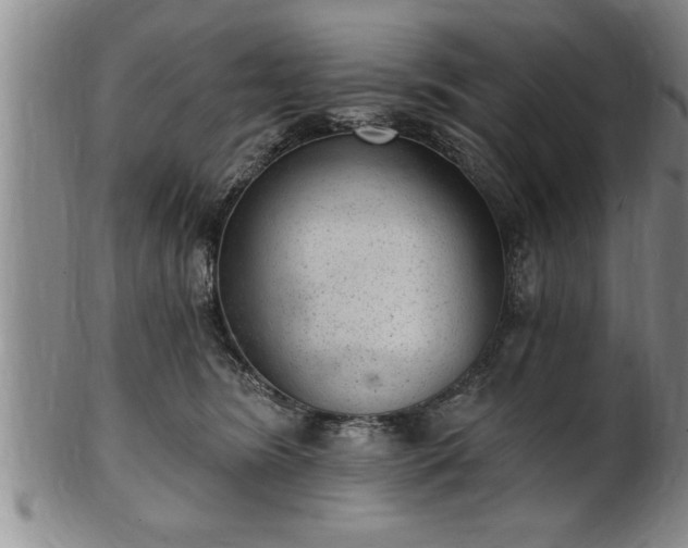 X0000102360420200808081134