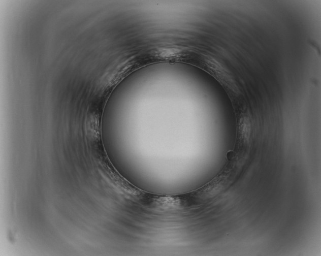 X0000102360421200808081134