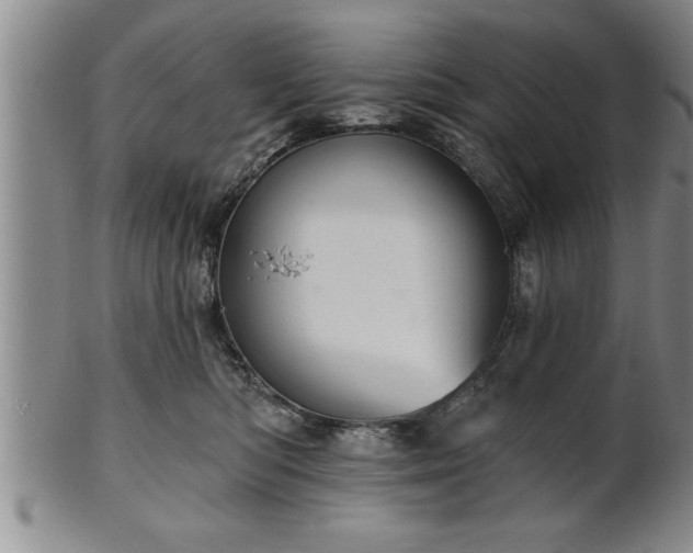 X0000102360422200808081134