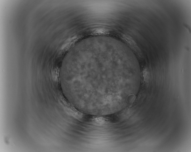 X0000102360423200808081134