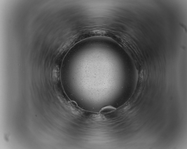 X0000102360424200808081134