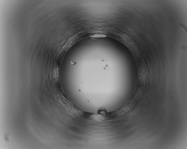 X0000102360425200808081134