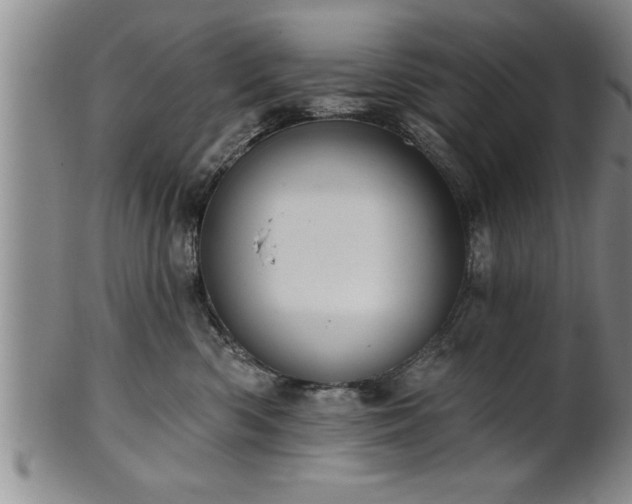 X0000102360426200808081134