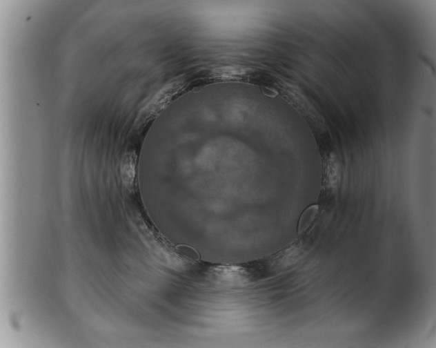 X0000102360427200808081134