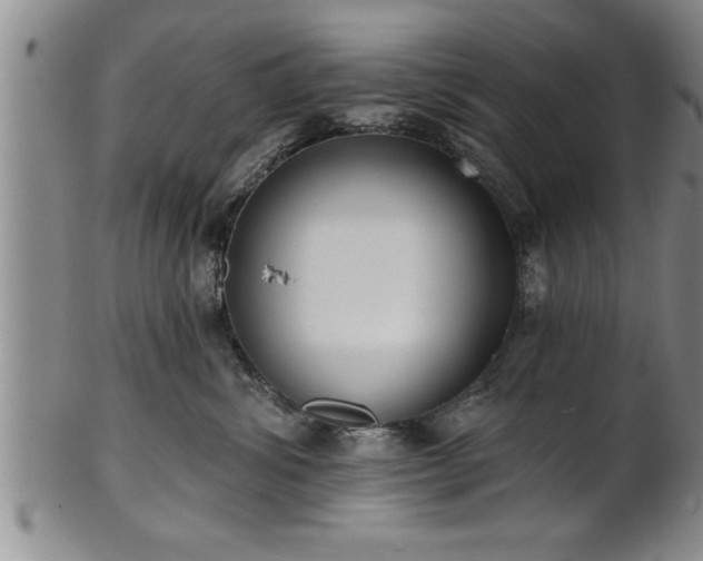 X0000102360428200808081134