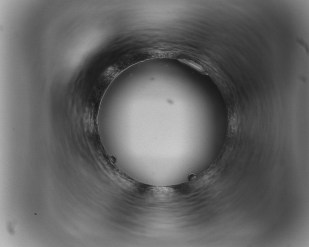 X0000102360429200808081134