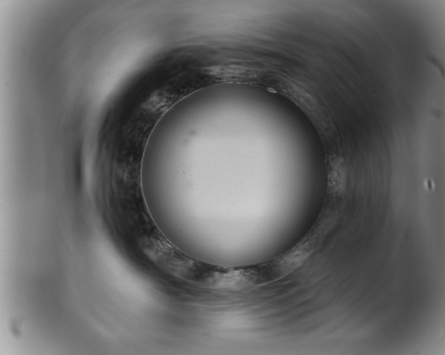 X0000102360430200808081134