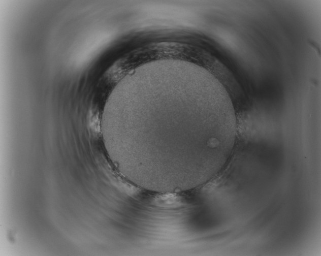 X0000102360431200808081134