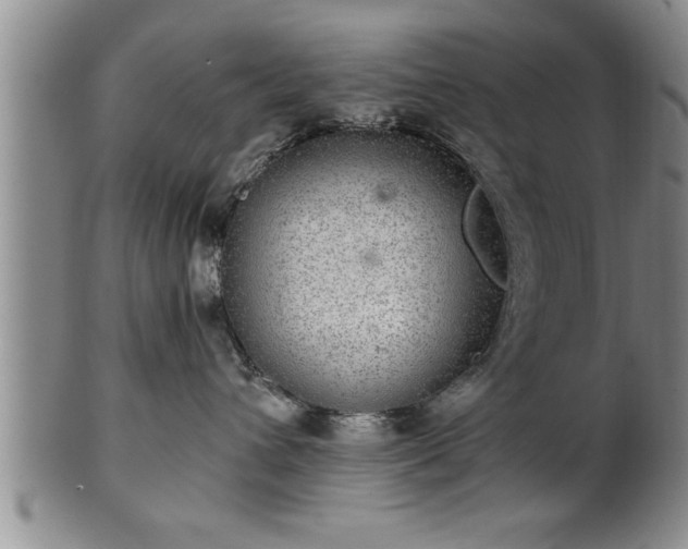 X0000102360432200808081134