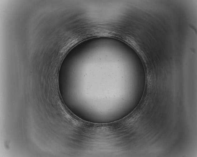 X0000102360433200808081134