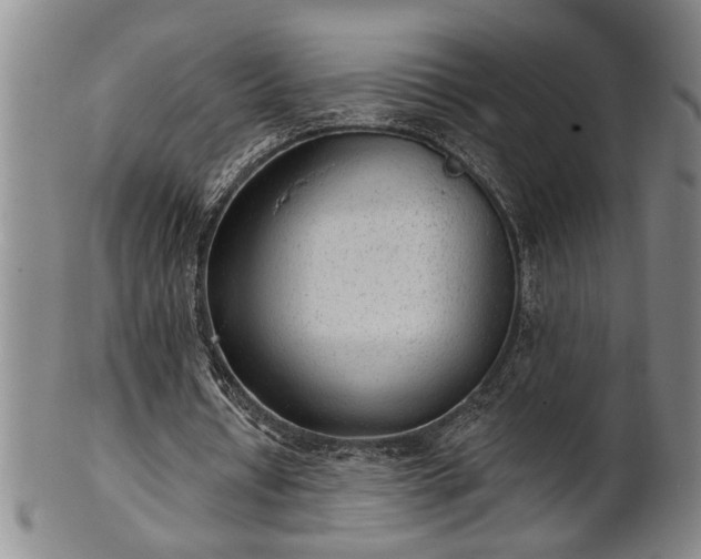 X0000102360434200808081134