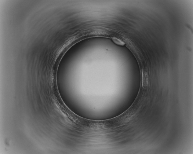 X0000102360435200808081134