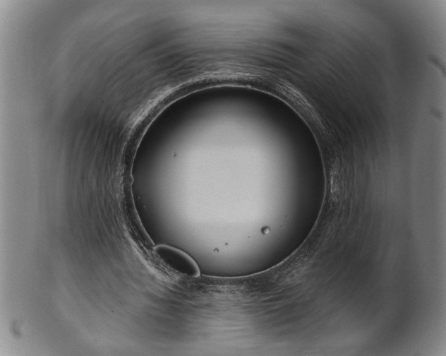 X0000102360436200808081134