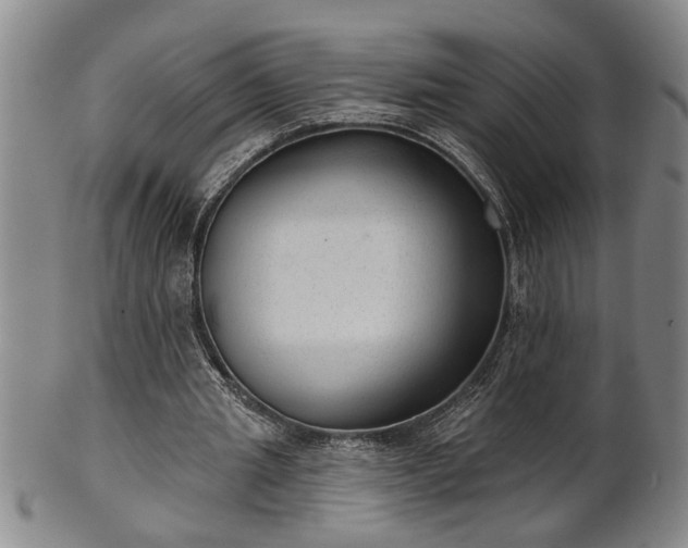 X0000102360437200808081134