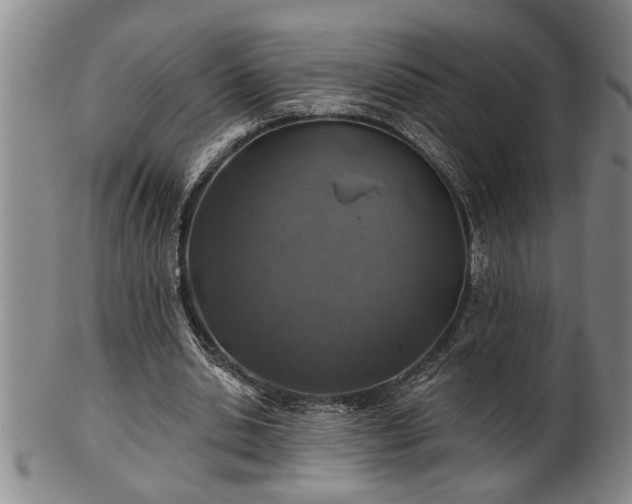 X0000102360438200808081134