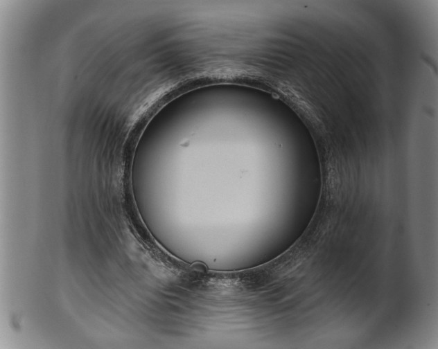 X0000102360440200808081134