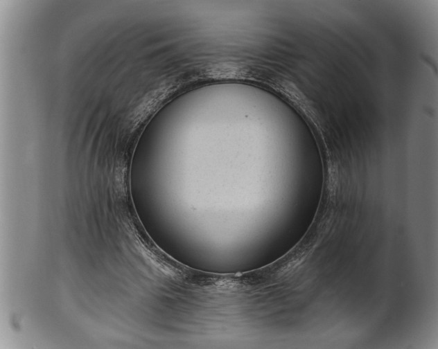 X0000102360441200808081134