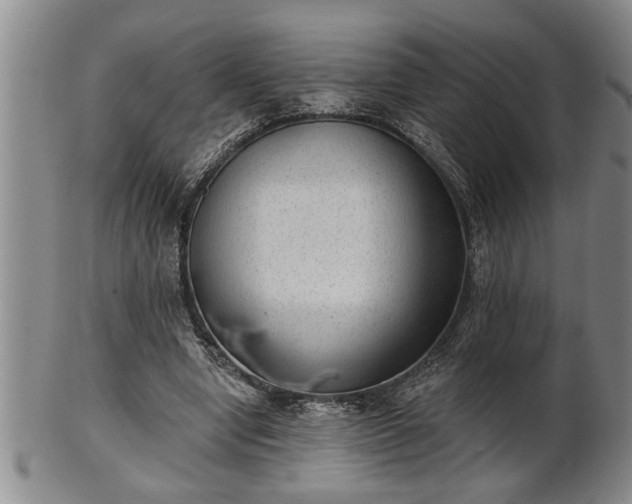 X0000102360442200808081134