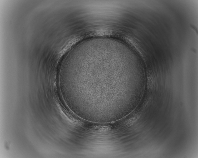 X0000102360443200808081134