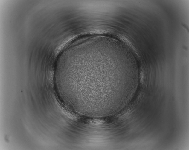 X0000102360444200808081134