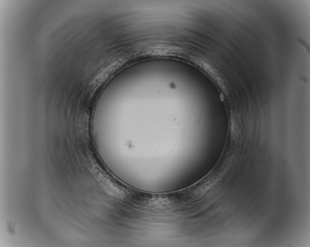 X0000102360445200808081134