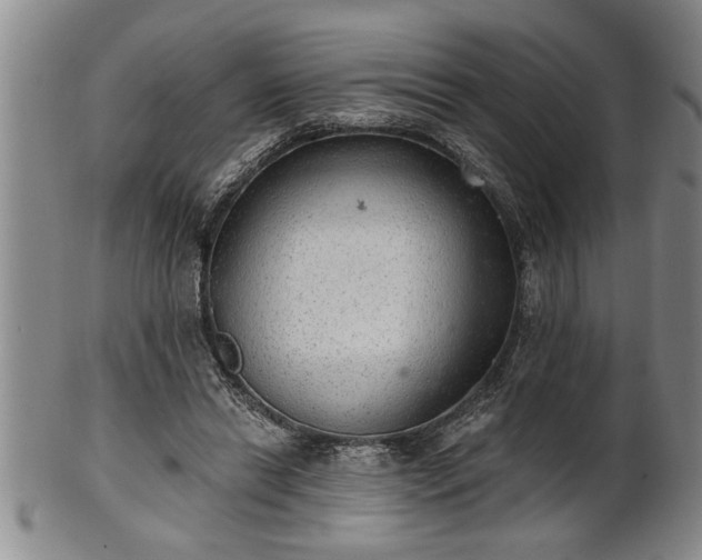 X0000102360446200808081134