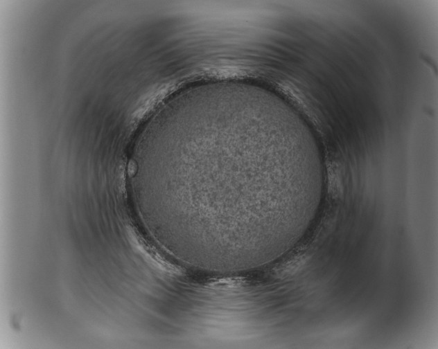 X0000102360447200808081134