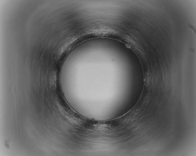 X0000102360448200808081134