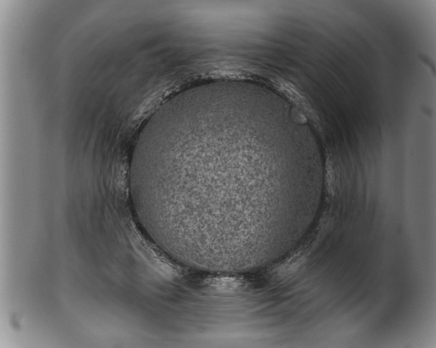 X0000102360449200808081134