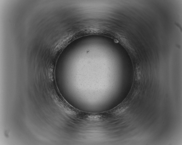 X0000102360450200808081134