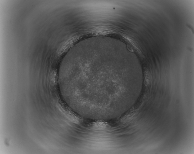 X0000102360451200808081134