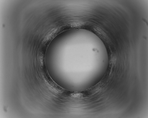 X0000102360452200808081134