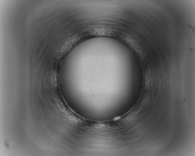 X0000102360453200808081134