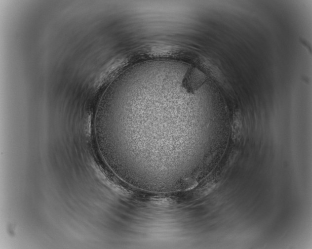 X0000102360454200808081134