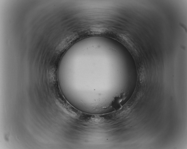 X0000102360455200808081134