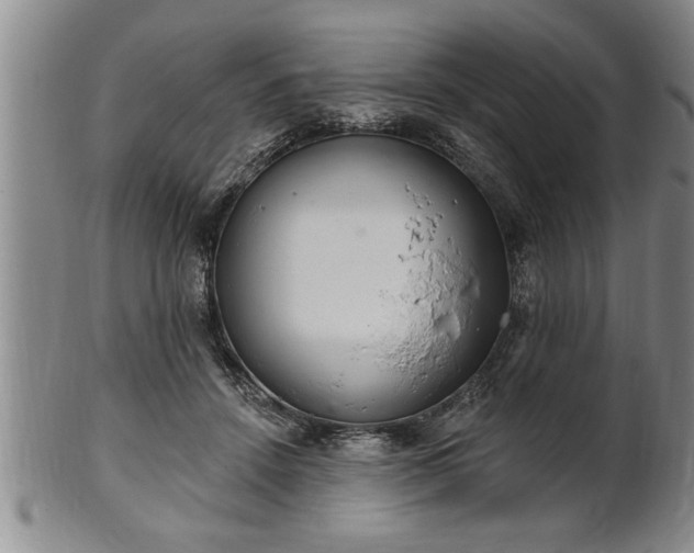 X0000102360456200808081134