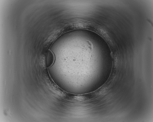 X0000102360457200808081134