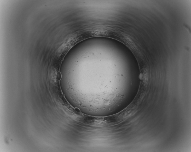 X0000102360458200808081134