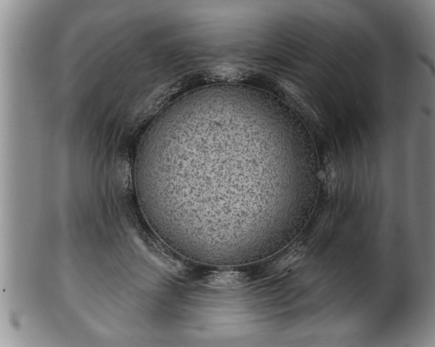 X0000102360459200808081134