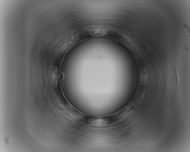 X0000102360460200808081134