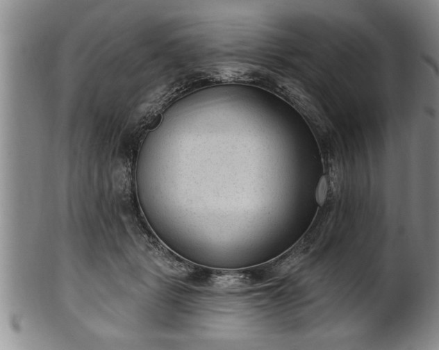 X0000102360461200808081134