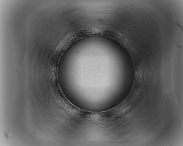 X0000102360462200808081134