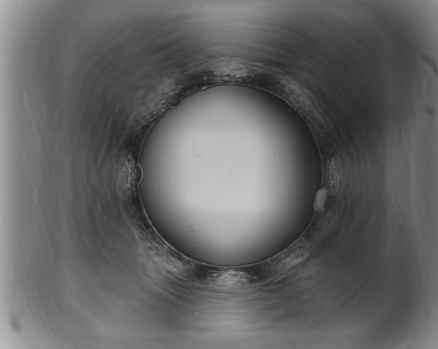 X0000102360463200808081134