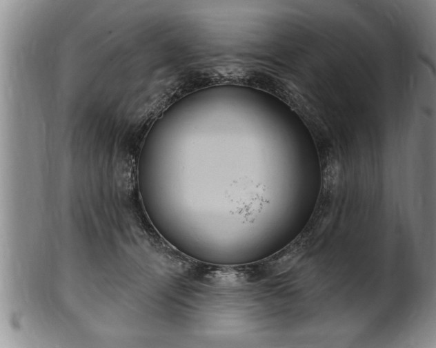 X0000102360464200808081134