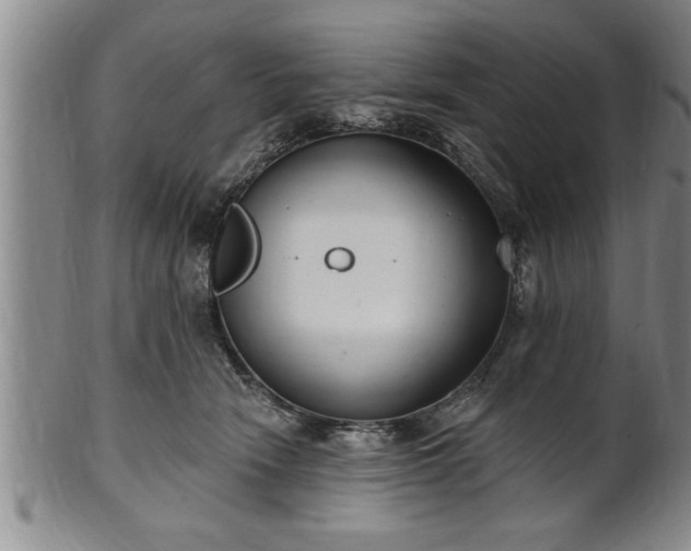 X0000102360466200808081134