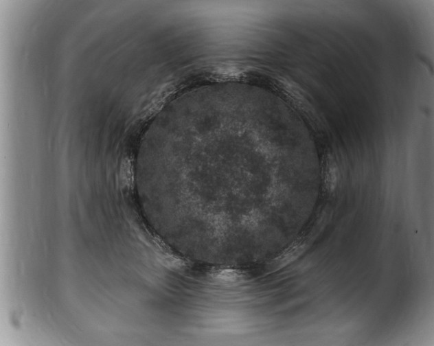 X0000102360467200808081134