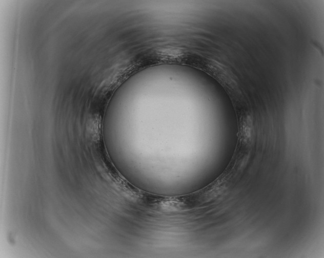 X0000102360468200808081134