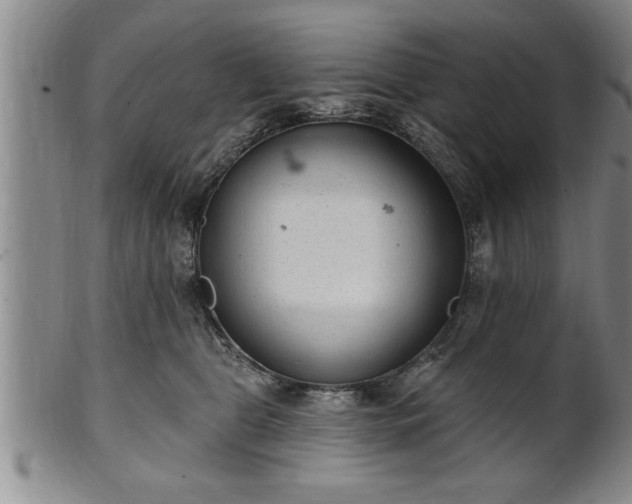 X0000102360469200808081134