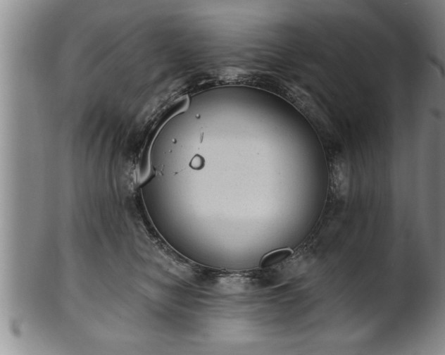 X0000102360470200808081134